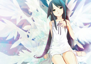 blog_panel