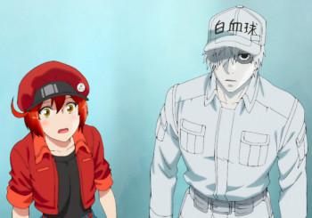 blog_panel