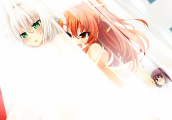 blog_panel